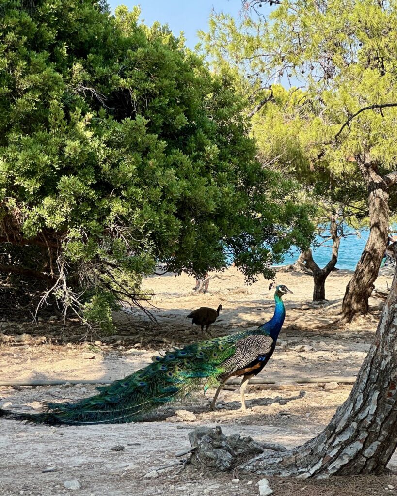 OnSail_purjehdusmatka_Kreikka_Ateena_27