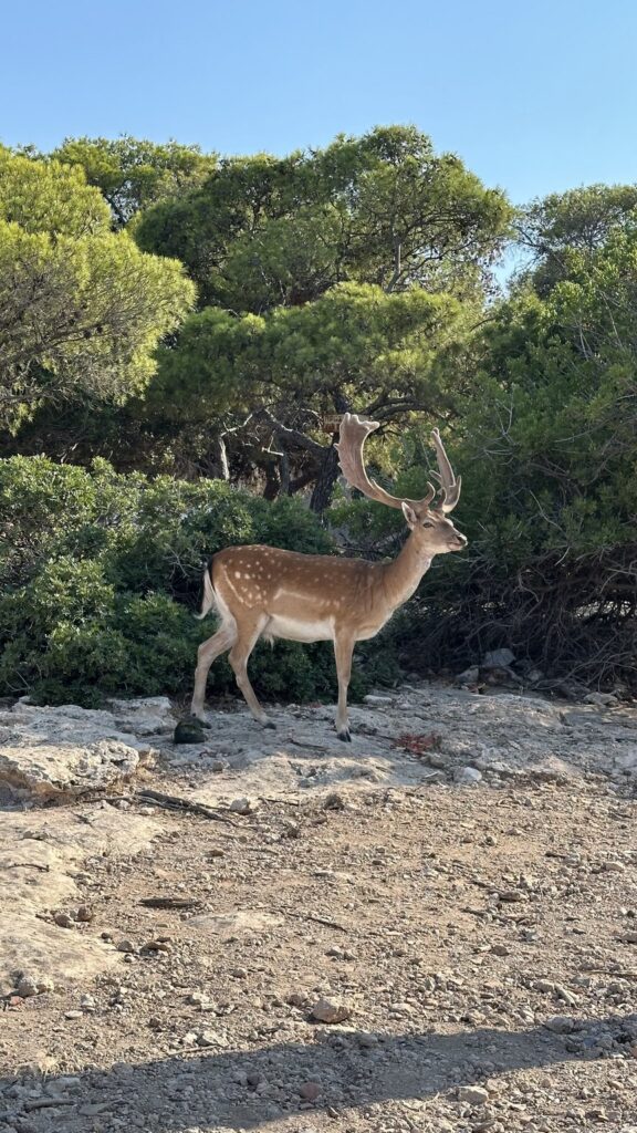 OnSail_purjehdusmatka_Kreikka_Ateena_28